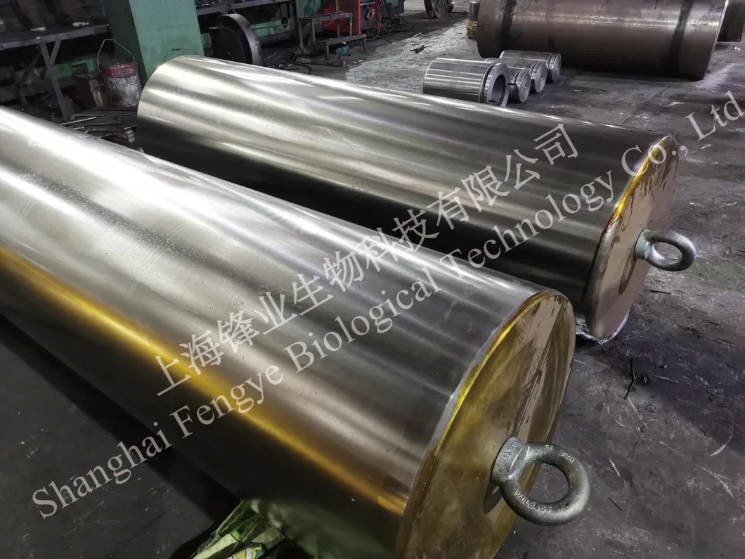 Chilled Iron Steel Piston for Press Mill